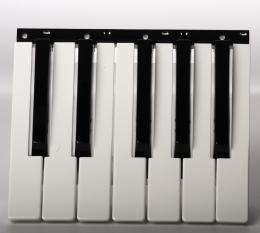 This is the 7 white with 5 black key assembly as used on the Korg MicroX, K61, K61P, X50, R3, and PA500.