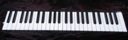 Korg Taktile49 Keybed, 510C9151